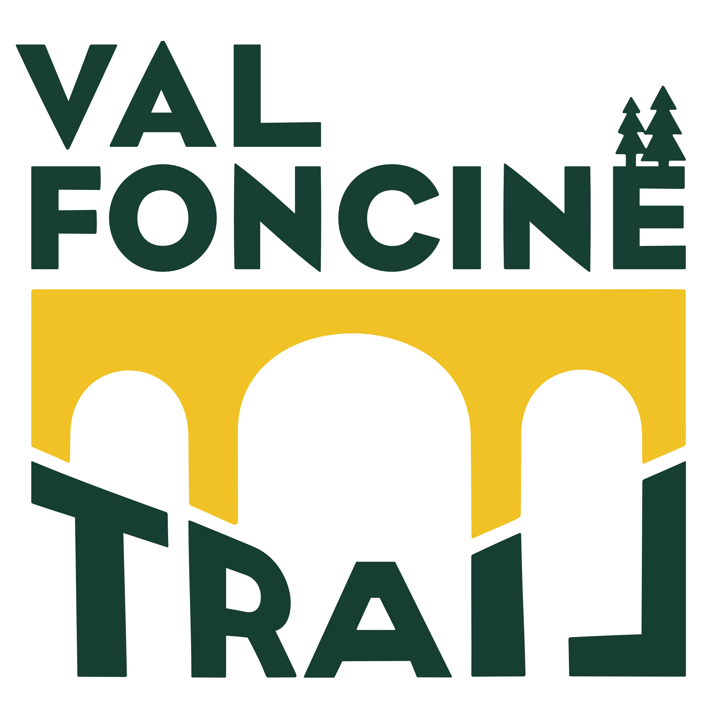 Val Foncine Trail